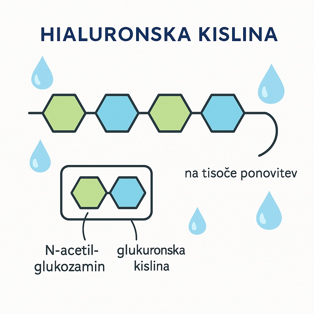Hialuronska kislina
